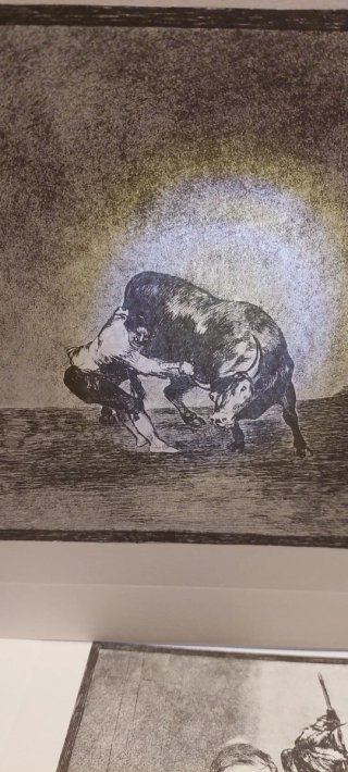 Libro La Tauromaquia Goya Edición Homenaje