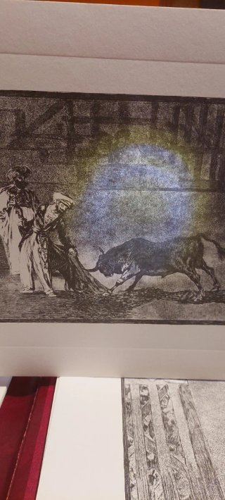 Libro La Tauromaquia Goya Edición Homenaje