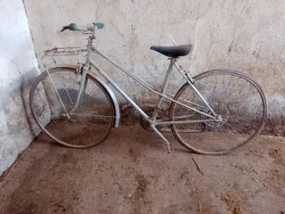 Bicicleta Clásica Plateada
