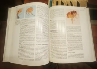 Enciclopedia Salvat de las Ciencias
