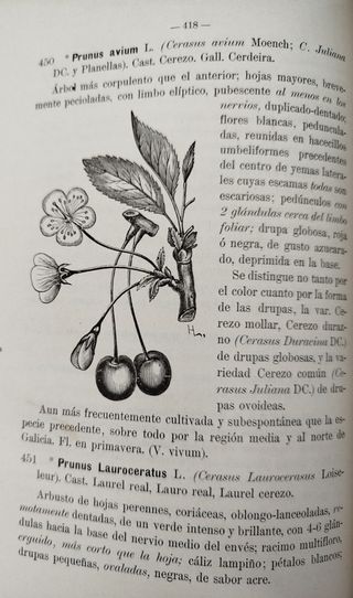 4 libros. Flora. Galicia