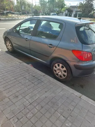 Peugeot 307 2006