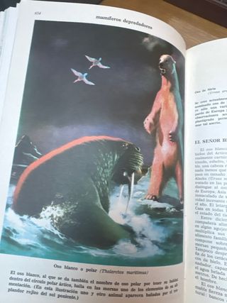 Enciclopedia CIENCIAS NATURALES y CURIOSIDADES.