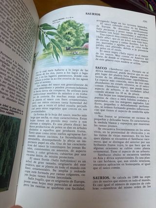 Enciclopedia CIENCIAS NATURALES y CURIOSIDADES.
