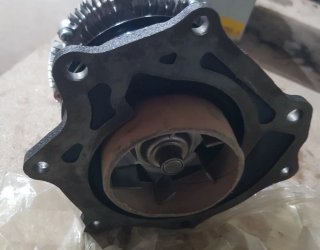 Bomba de Agua Blue Print Nissan Terrano