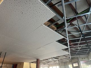 Paneles de cemento para construcción