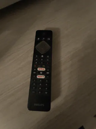Televisión Negra y Plateada