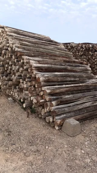 Postes de madera 2.5 metros