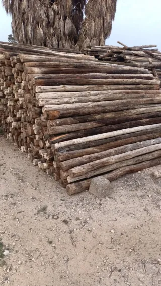 Palos de madera 3 metros