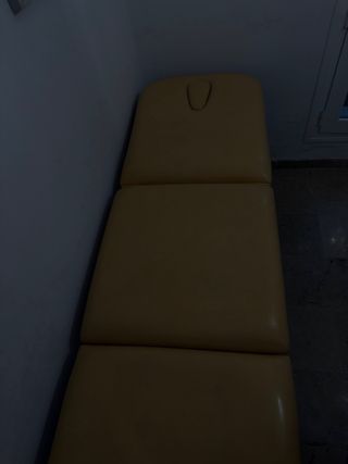 Camilla / Cama de masaje profesional