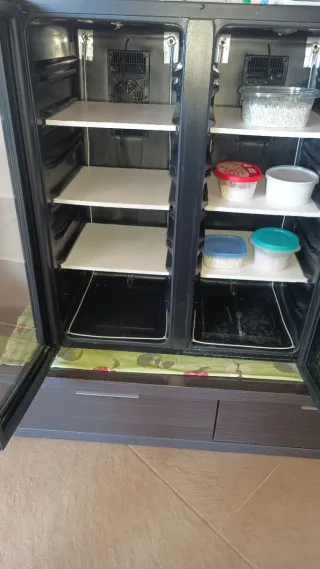Incubadora Profesional Pacobaron
