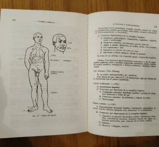 Acupuntura y auriculoterapia. Libro antiguo