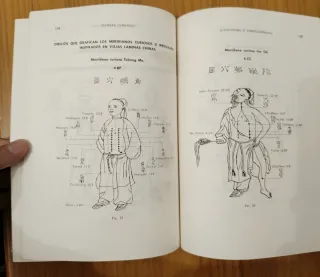 Acupuntura y auriculoterapia. Libro antiguo