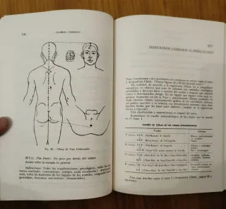 Acupuntura y auriculoterapia. Libro antiguo