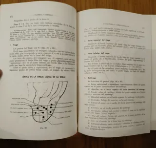 Acupuntura y auriculoterapia. Libro antiguo