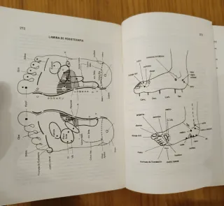 Acupuntura y auriculoterapia. Libro antiguo