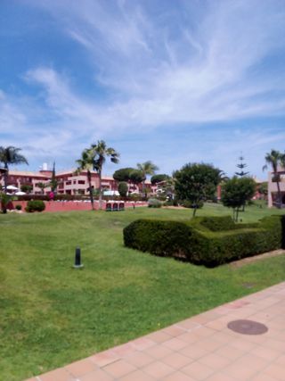 Jardinero en Cádiz