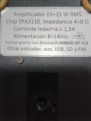 Amplificador tipo D  15+15W