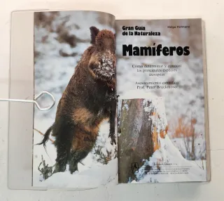 Mamíferos. Gran guía de la naturaleza .