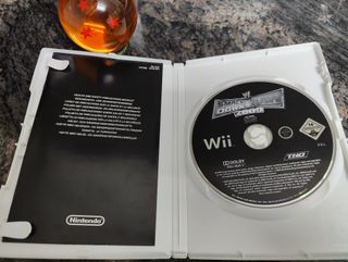 Smack Down vs Raw 2009 Wii