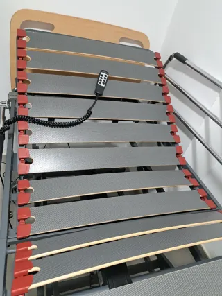 Cama articulada con carro elevador y mando