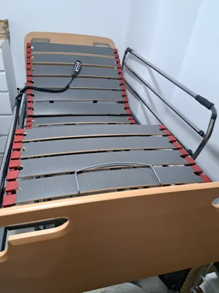 Cama articulada con carro elevador y mando