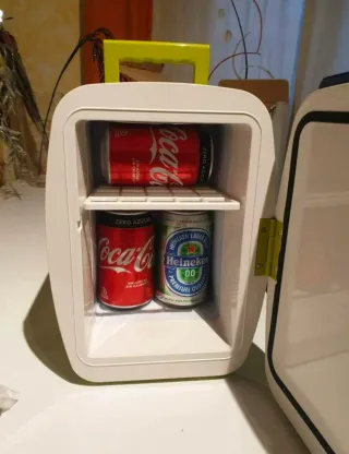 Mini nevera coche