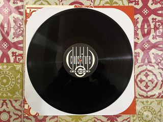 Robin Jaydee Albers "The Hunter" vinile anni '90