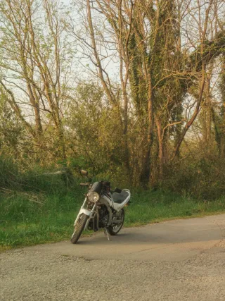 Suzuki GS500E 1989 Blanca A2