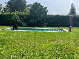 Piscina Hormigón Gunitado 8x3m
