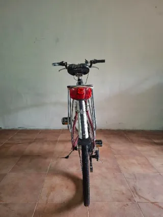 Bicicleta Trekking Evolution Roja aluminio