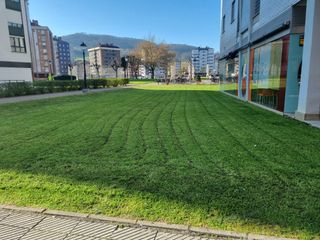 Servicio de jardinería y desbroce jardinero