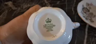 Taza y plato de flores. Royal Standard.