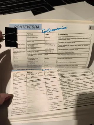 Guia fiestas de Galicia