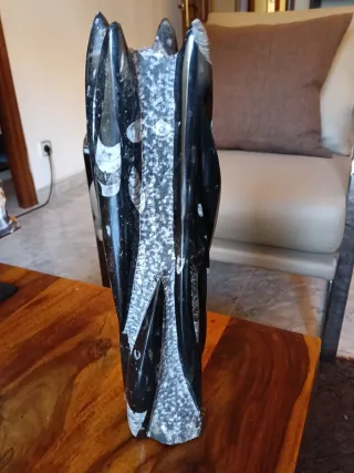Escultura Fósil Orthoceras Negra