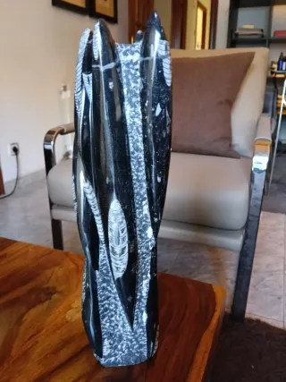 Escultura Fósil Orthoceras Negra
