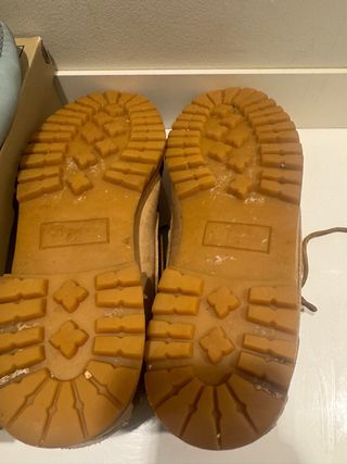 Panama Jack Nauticos Beige/Marrón