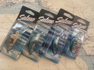 Lote 4 Señuelos Pesca Salmo Hornet Floating    023