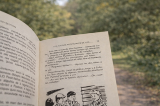 Enid Blyton – Los fuegos artificiales de los siete