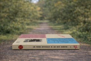 Enid Blyton – Los fuegos artificiales de los siete