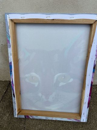 Quadro Gatto Colorato Tela