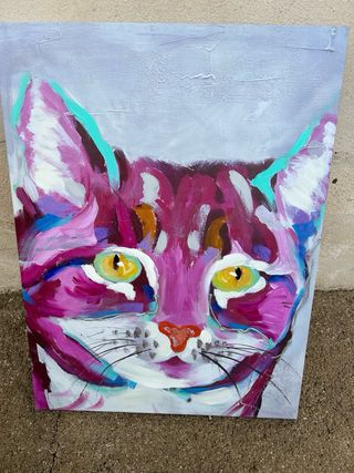 Quadro Gatto Colorato Tela