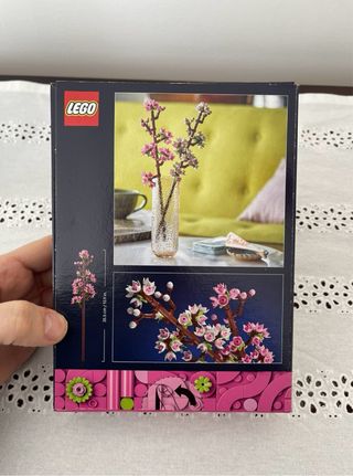 Set di 2 LEGO Botanicals 40725 +11508