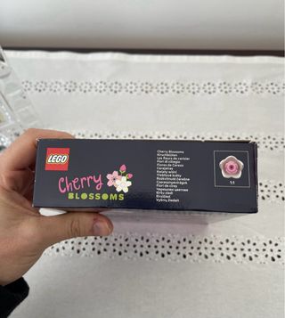 Set di 2 LEGO Botanicals 40725 +11508