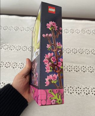 Set di 2 LEGO Botanicals 40725 +11508