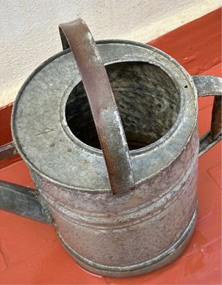 Regadera Vintage Grande Metal