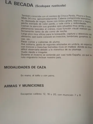 FAUNA CINEGETICA ESPAÑOLA