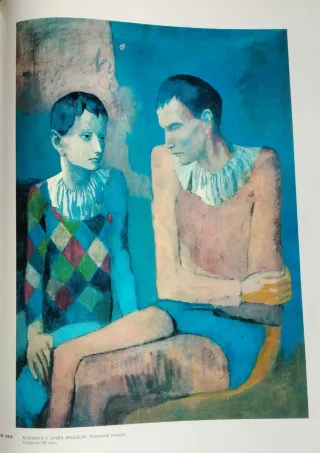 Picasso Azul y Rosa Obra Completa+35 sellos