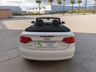 AUDI A3 Cabrio 1.9 TDI DPF Ambition