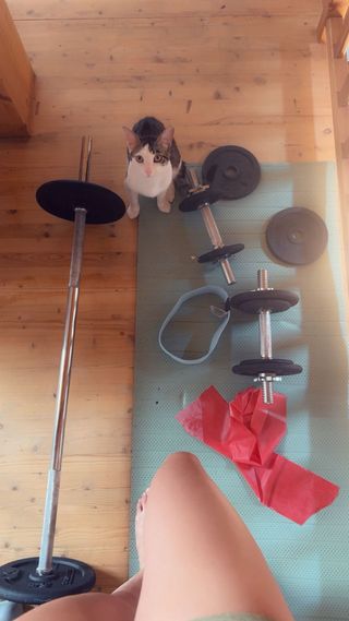 Pesi e barra da palestra